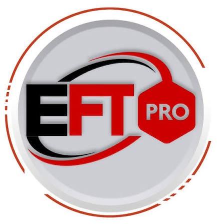 #1332 EFT Pro Digital Activation for [1 Months] 